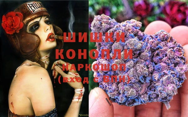 ГАЛЛЮЦИНОГЕННЫЕ ГРИБЫ Беломорск
