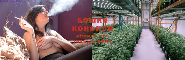 ГАЛЛЮЦИНОГЕННЫЕ ГРИБЫ Беломорск
