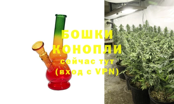 ГАЛЛЮЦИНОГЕННЫЕ ГРИБЫ Беломорск
