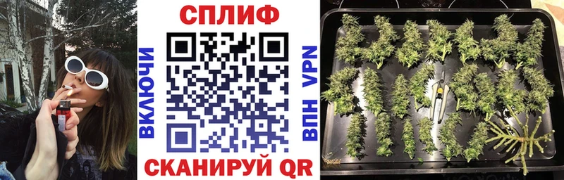 мега ссылки  Оха  Бошки марихуана марихуана 
